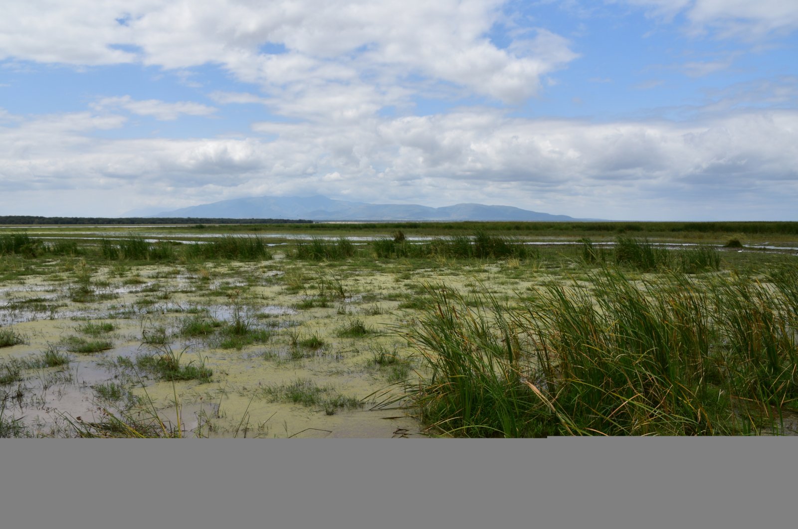 Lake Manyara National Park