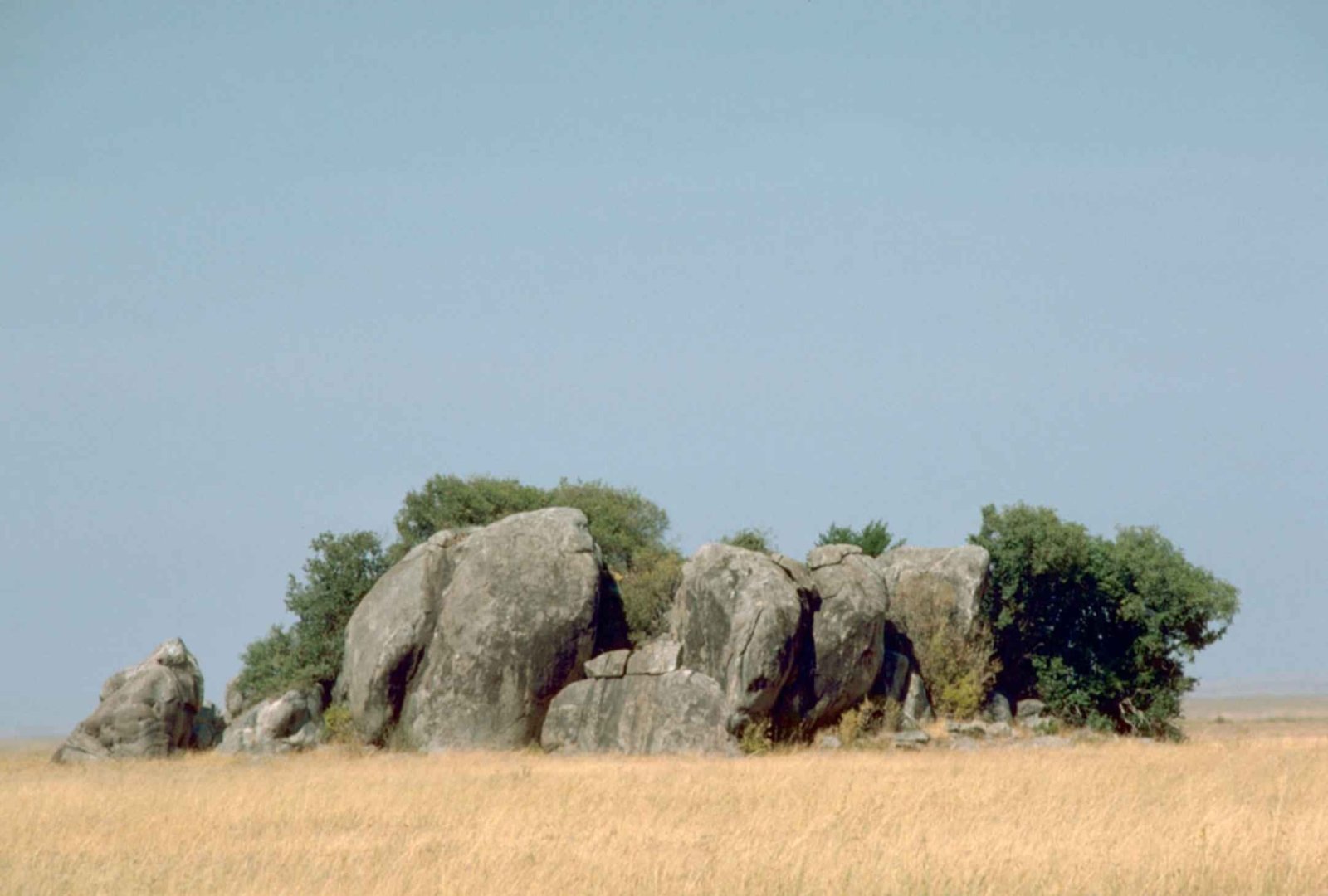 7-Day Serengeti & Ngorongoro Safari