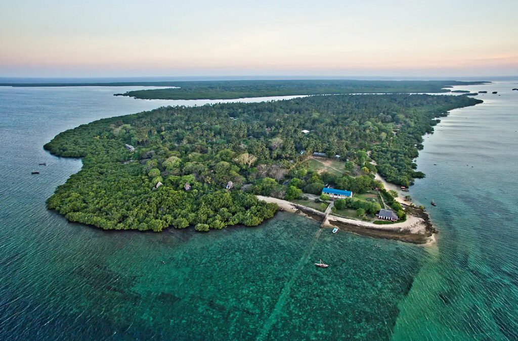 5-Day Mafia Island Diving & Marine Safari